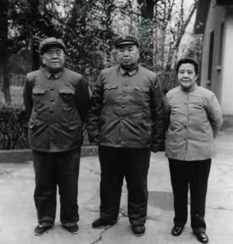 1985年，许世友在南京病逝，战友聂凤智因悼文大怒：你们是针对谁