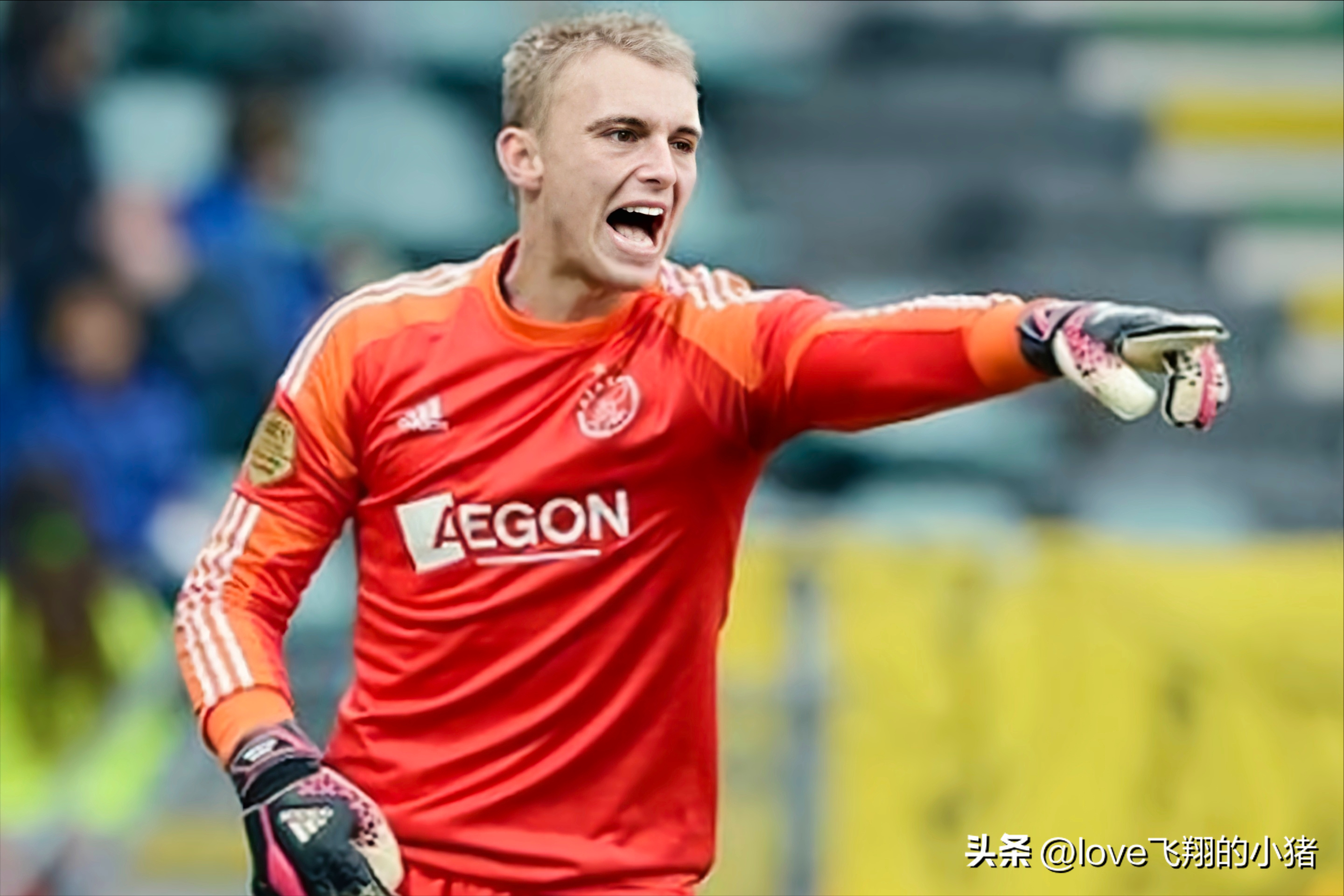 2022世界杯荷兰阵容（荷兰队2022世界杯阵容首发11人主力预测）