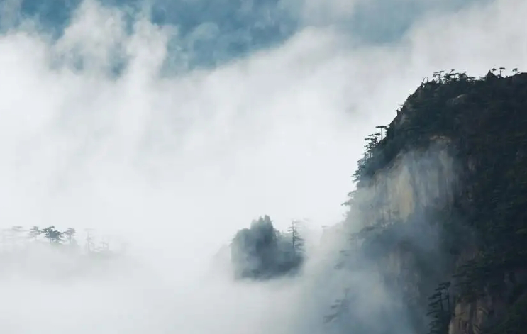 庄子一篇旷世奇文，彻底道破了无为的真谛，让人瞬间醍醐灌顶