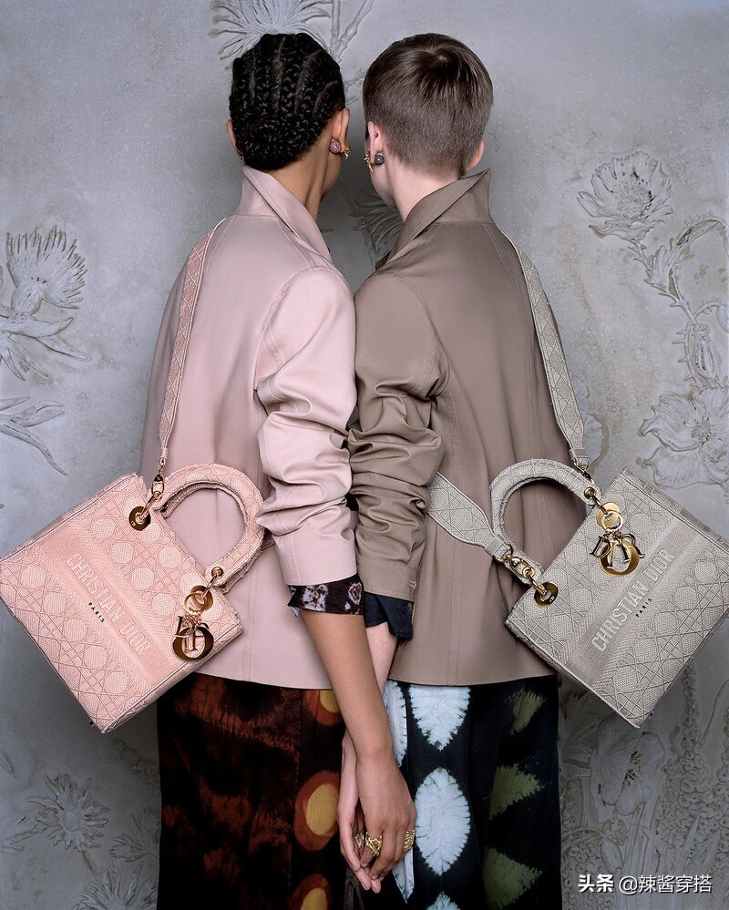 Dior Saddle、Book Tote到最新Micro Bag，一定要认识的5大经典包