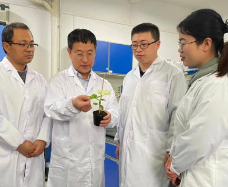 山东这所大学曾排名第四，深受高考学生青睐，如今却有点冷清