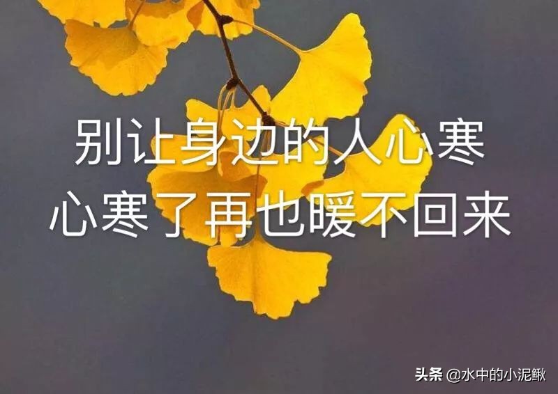 朋友圈正能量励志句子，新的一天开始精美语句