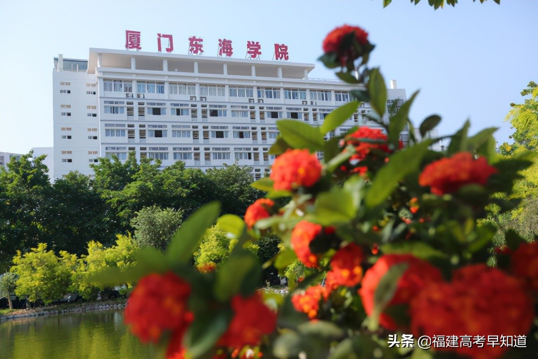 厦门这9所大学不能错过！高职分类220分就有机会读