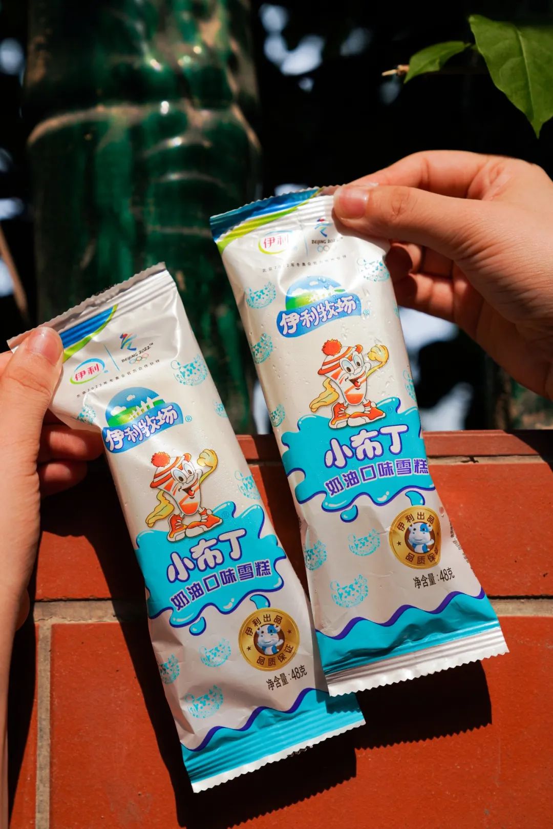 五羊雪糕多少钱（分享正在消失的童年雪糕）(17)