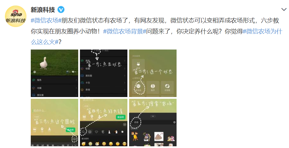 全網(wǎng)最全梳理：微信農(nóng)場里的小動物都是啥？能養(yǎng)真的么？