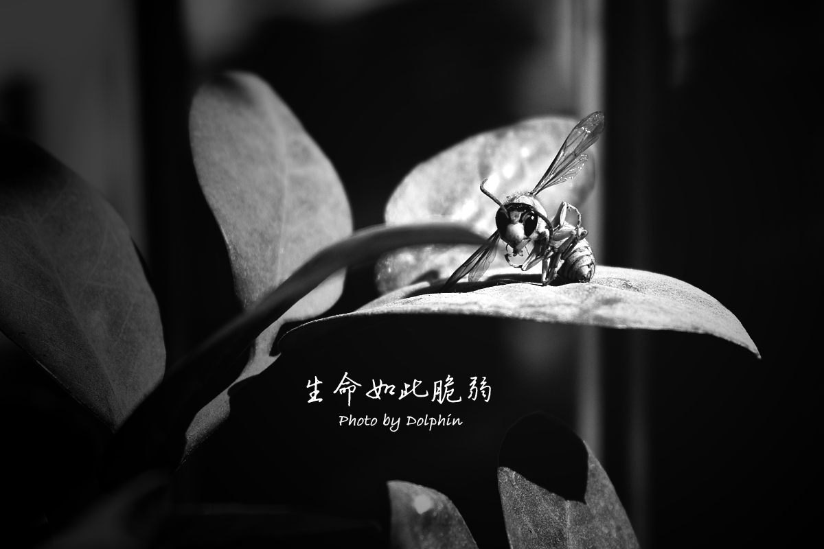 一路走好!半个月5位名人相继离世,年轻者仅30岁,有2人还同一天