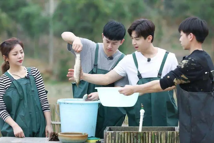 从3角度看综艺《向往的生活》,叙事策略的成功之处体现在哪?