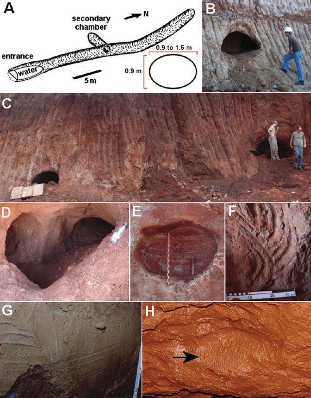 13000年前的神秘隧道会是谁建造的？科学家猜测，可能不是人类