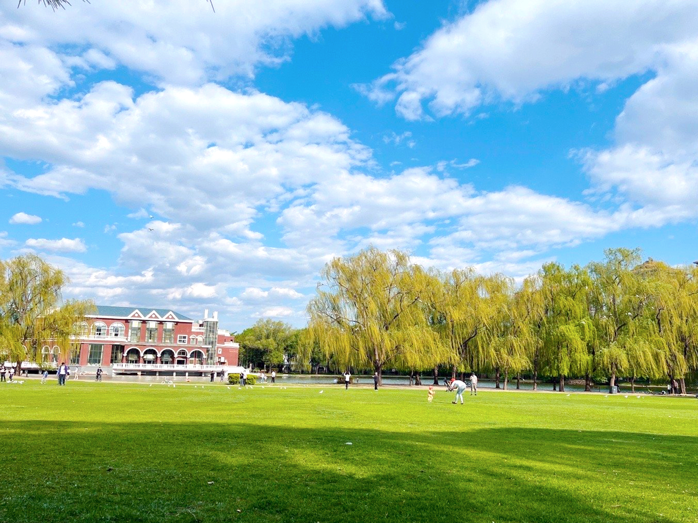 奧林匹克公園高檔小區（北京五環邊的寶藏公園，比奧森人少，能搭帳篷能玩水）