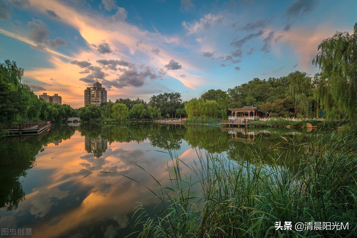 云卧清溪底，树生碧水中。鸟喧镜湖里，不见涟漪踪