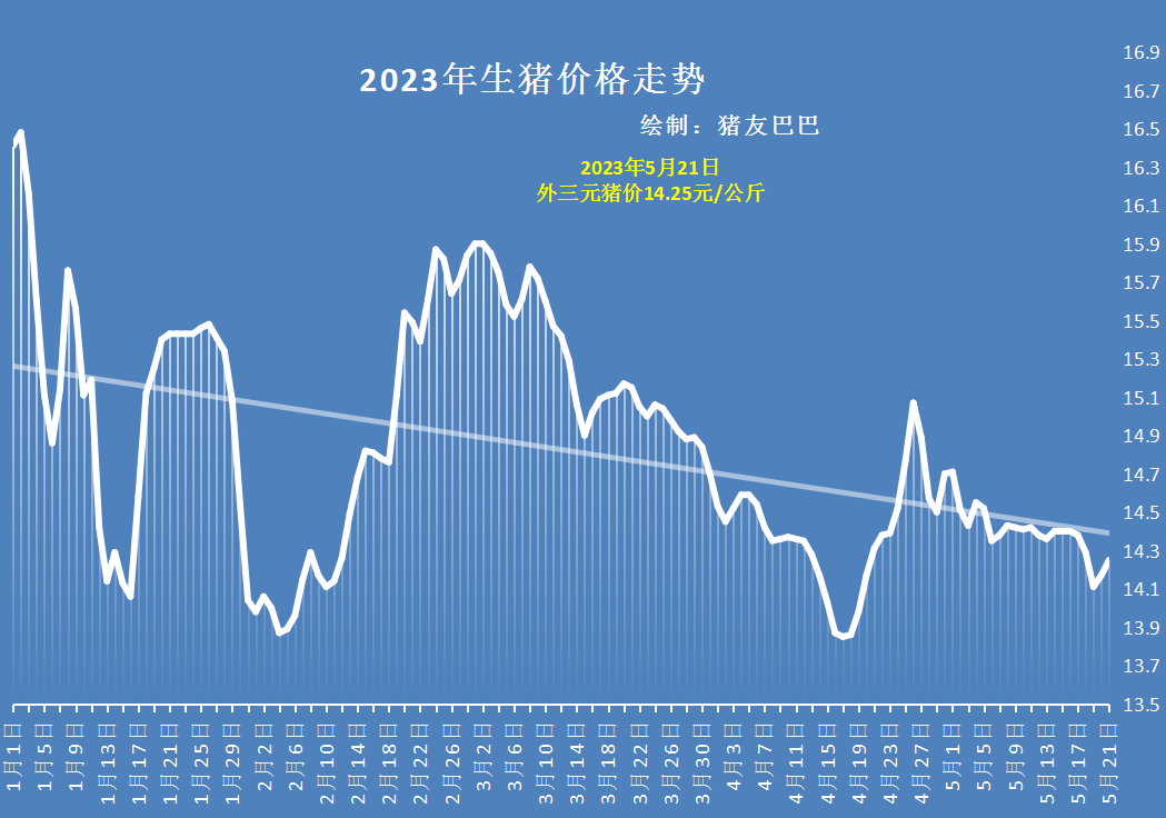 外国猪肉价今日猪价（达州猪肉价格今日猪价）