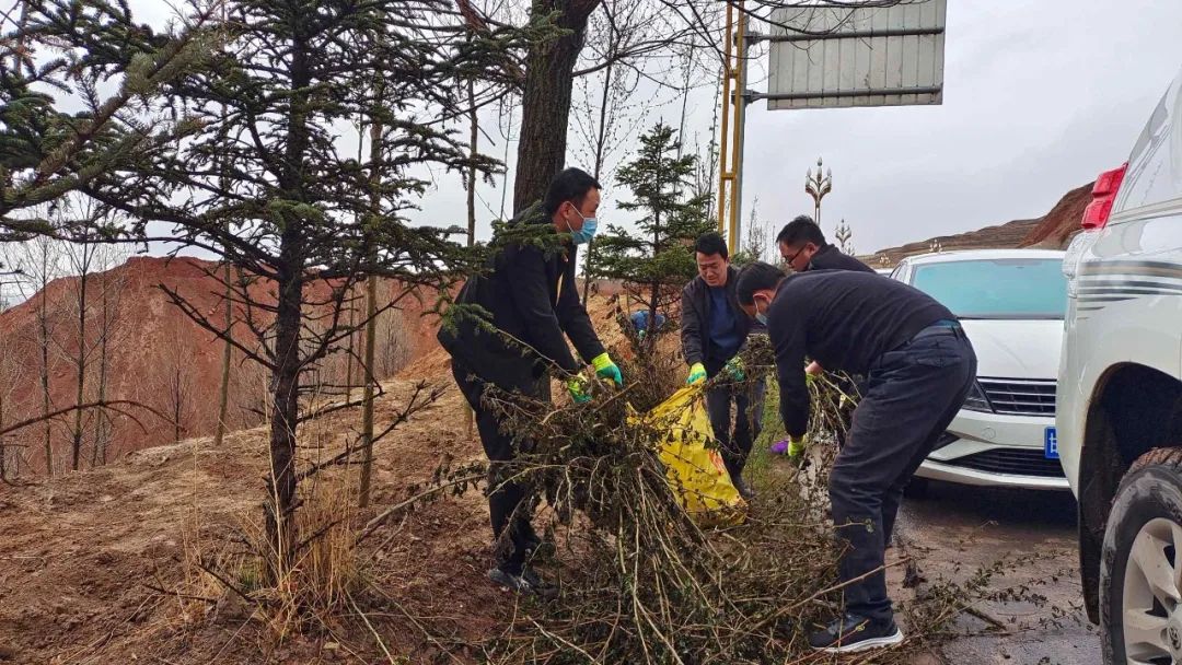 生态筑梦，绿色先行——临潭县开展山水林田湖草沙系统治理和公路沿线环境整治活动