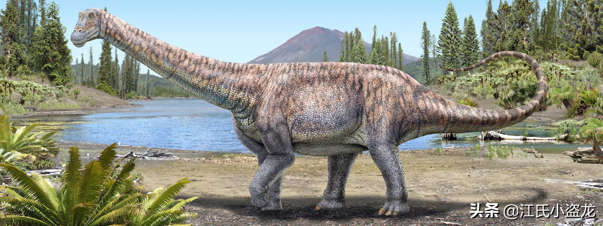 2021年新种恐龙(非鸟恐龙)大盘点