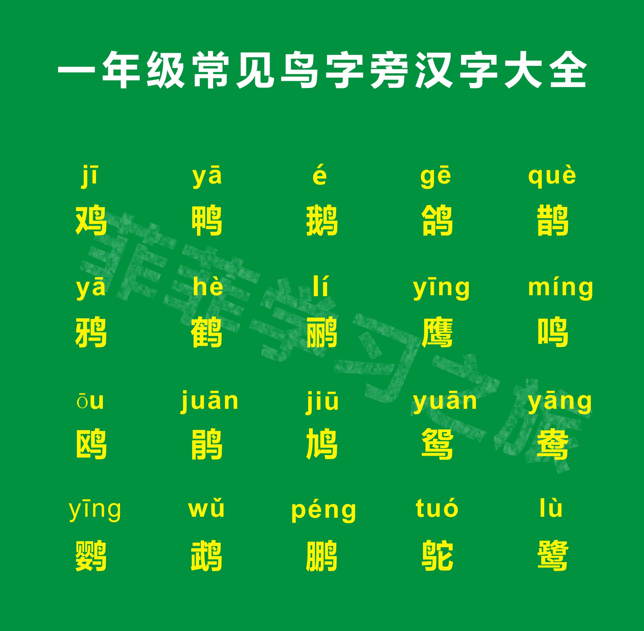 鸟加偏旁组词(鸟加偏旁组词组新字)-币圈之家