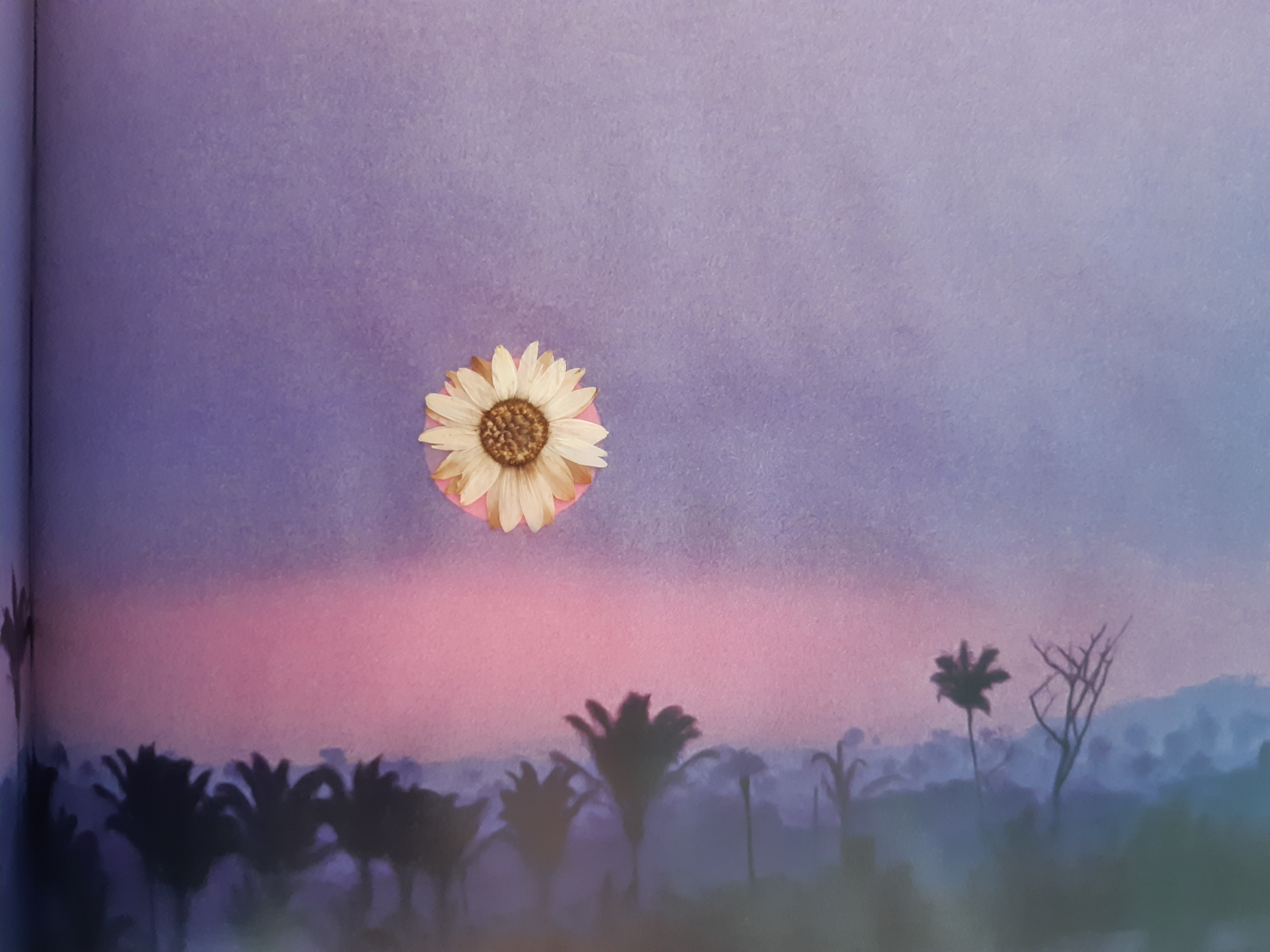 书籍经典语句金句摘选