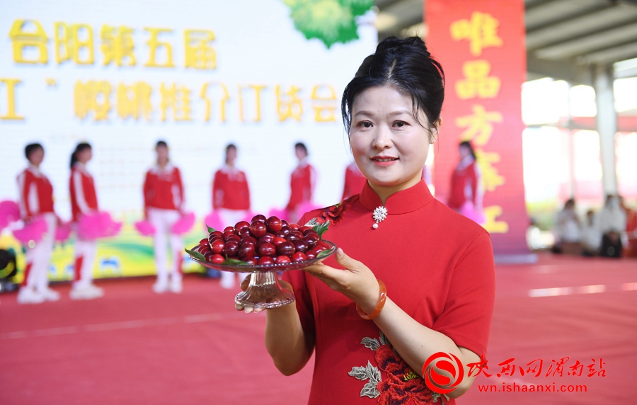 櫻桃千萬家 唯品方寨紅 合陽第五屆“方寨紅”櫻桃推介會舉辦（高清組圖）