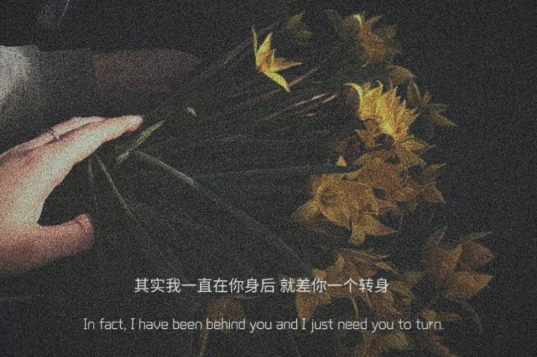 值得你收藏的高质量文案——理想和现实隔着一个生活