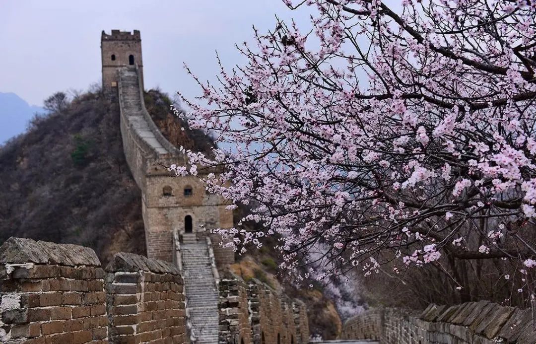 中国，面朝大海，春暖花开