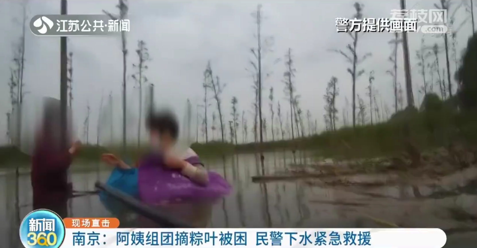 南京六合：三阿姨组团摘粽叶被困江中 民警下水紧急救援