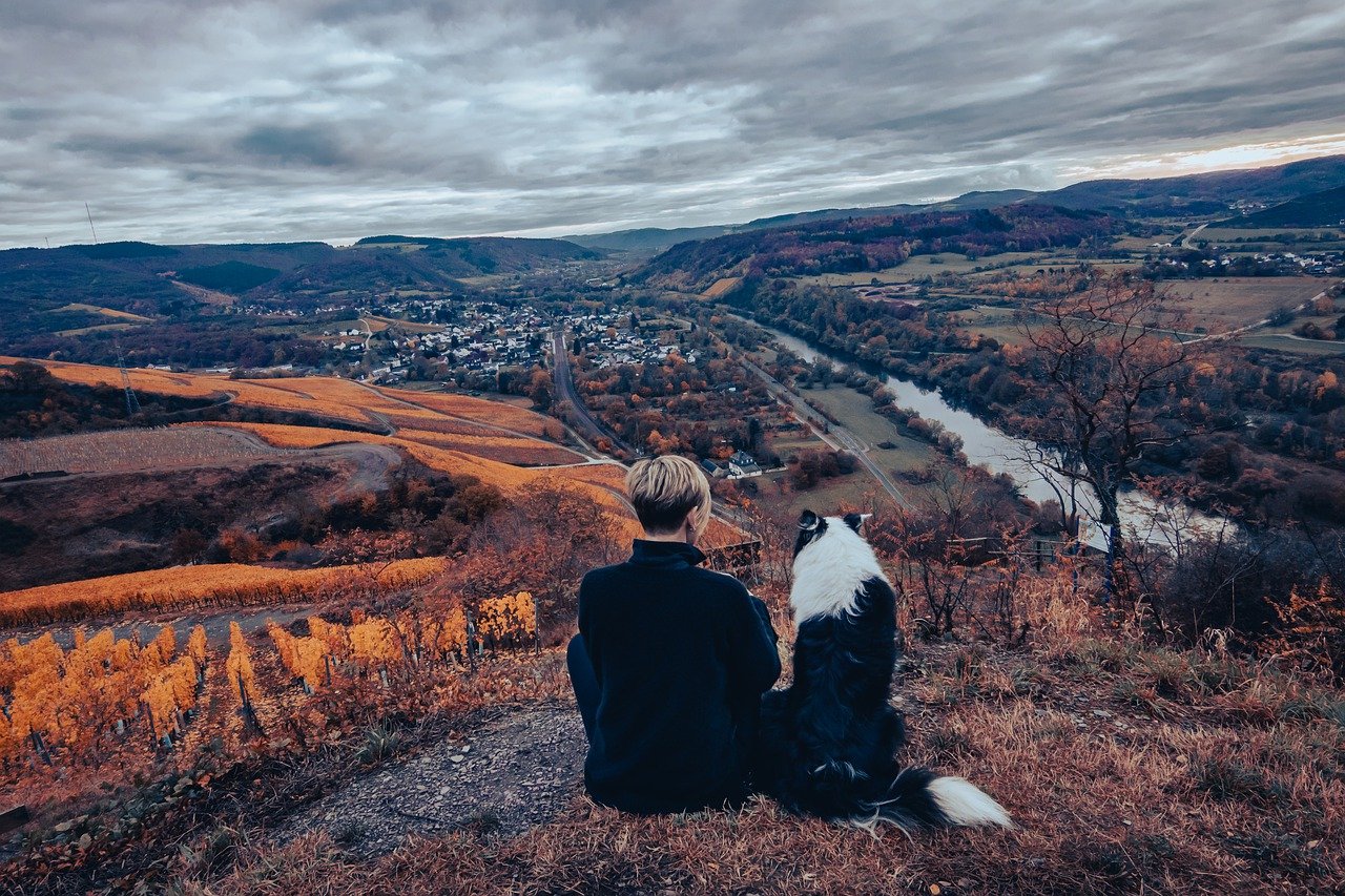 关于《数字经济下金融监管有效性思考》的一些读后感
