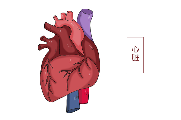 世界杯俄罗斯黑巧克力好处(研究：黑巧克力可降低心脏病风险，但吃多了也有害，该怎么吃？)