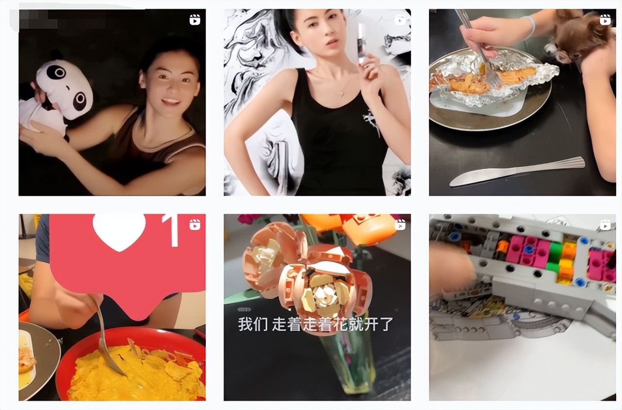双乳都露出来的照片(41岁张柏芝游泳被晒伤，仅穿一件背心露出排骨胸，肩膀处又红又肿)