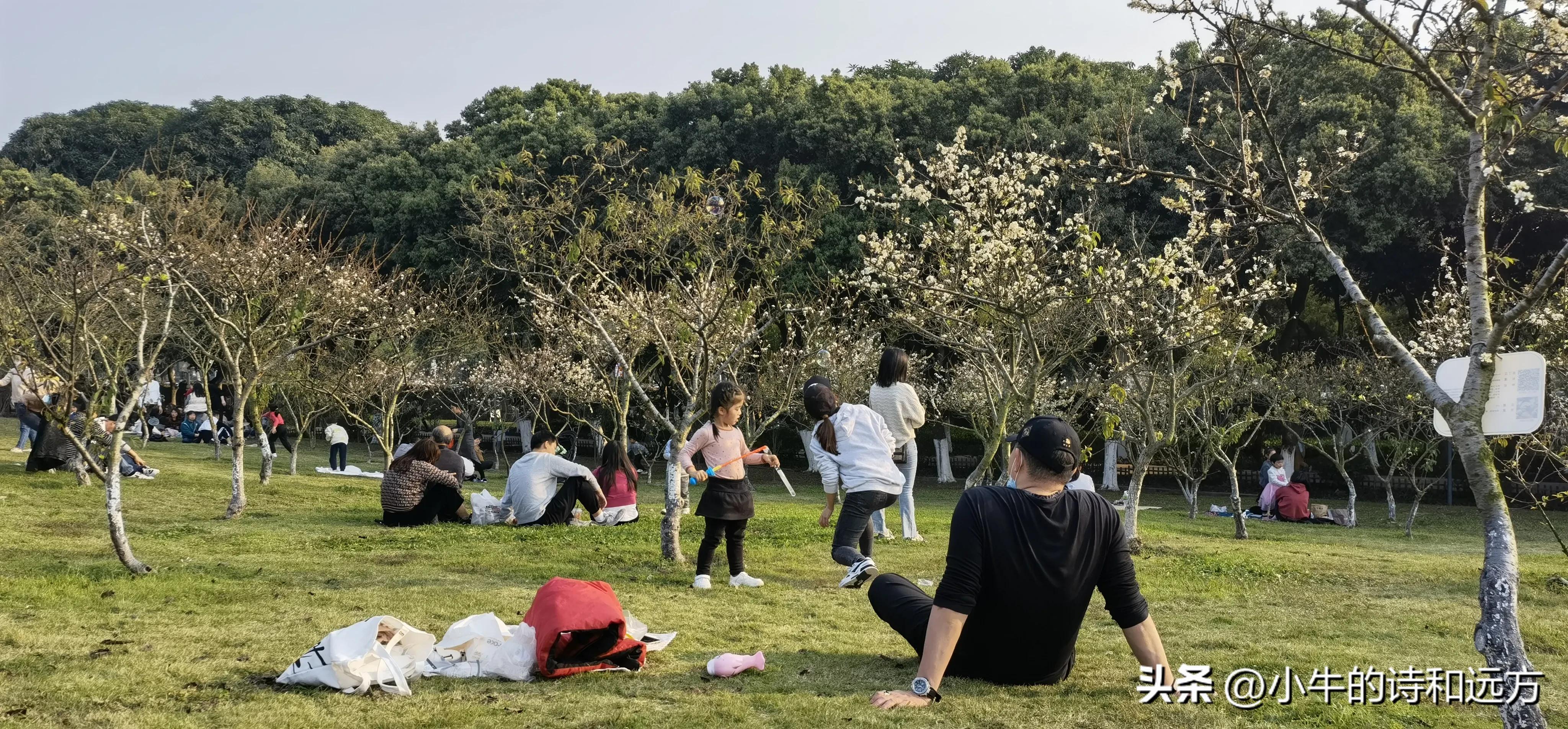 紫马岭公园地方在哪（详解紫马岭公园的地理位置）