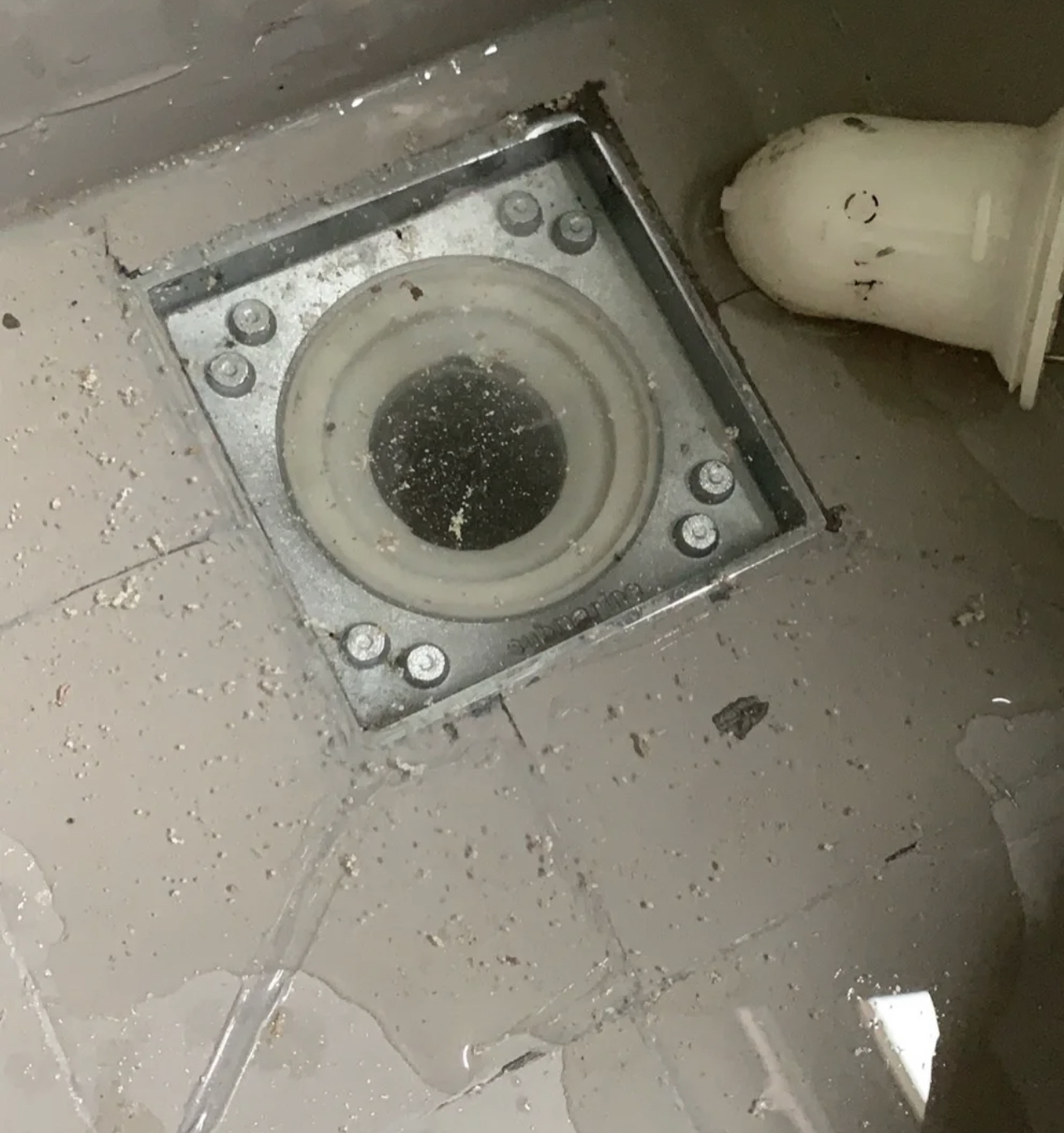 1,一试地漏,下水堵死