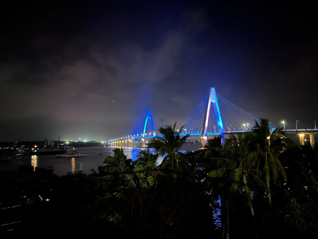 去海南,探访椰子潮流背后的秘密