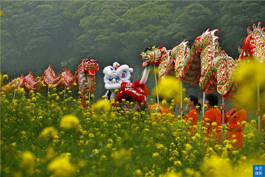 阳春三月，广东石门油菜花田乡村美，春天赏花拍照踏青好去处