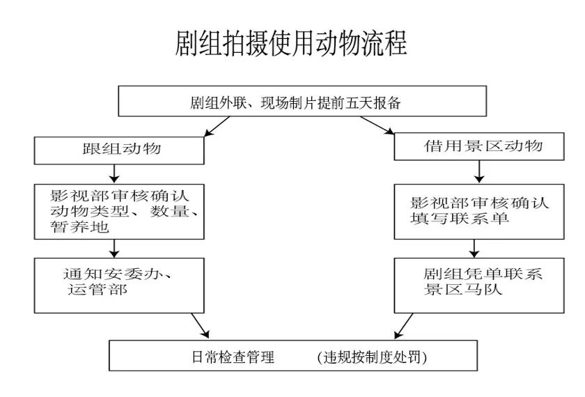 《当家主母》虐猫罗生门：动物是有生命的演员