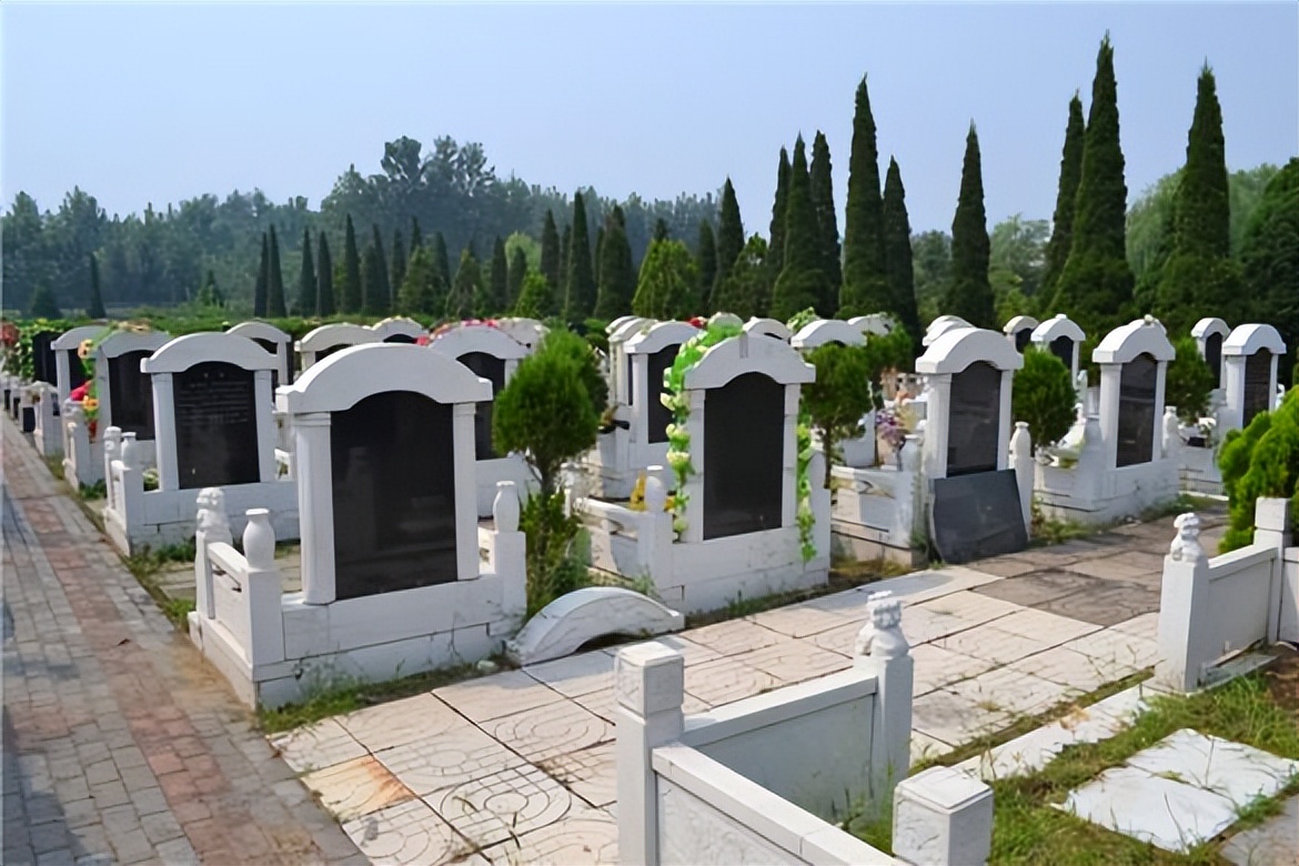 公墓只能使用20年，如果子孙不续费，会有啥后果？