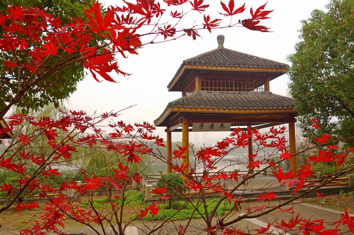 校考成绩公布！江南大学16省校考14省统考，2022年录取需多少分？