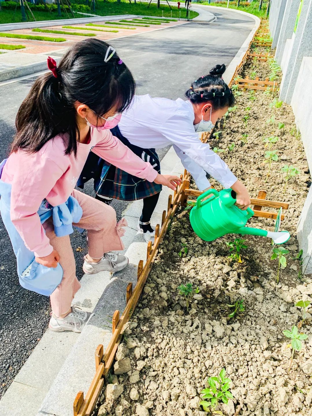 「责任教育 劳动课程」成都市双流区黄甲小学开发特色劳动种植课程