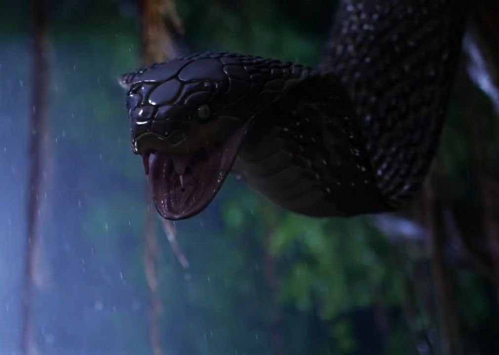 泰剧林蛇爱2021电视剧大结局