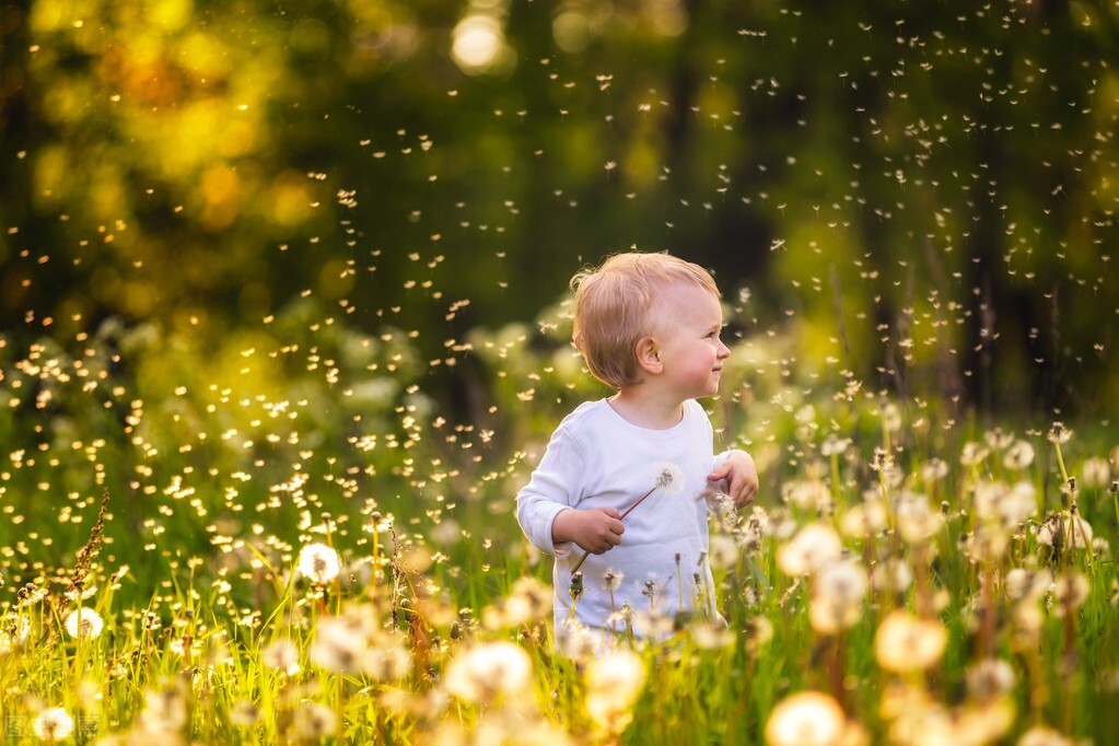 50个想要实现的心愿