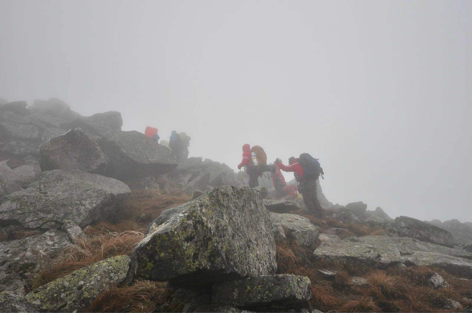 又有驴友擅闯秦岭禁地！95后女诗人遇难，5年死亡46人仍屡禁不止