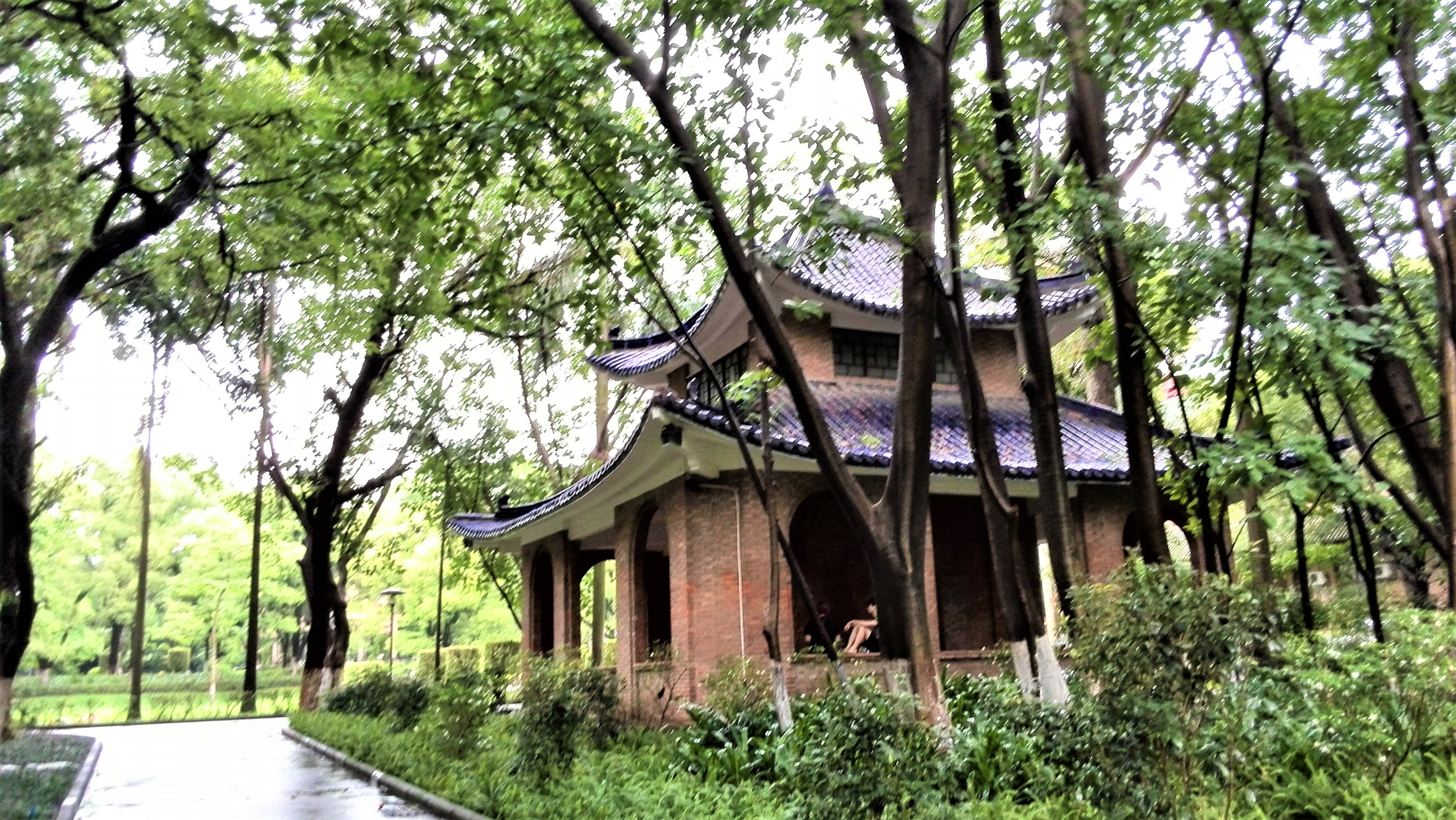 中山大学：广东人眼里的华南一霸，知名度不过长江？