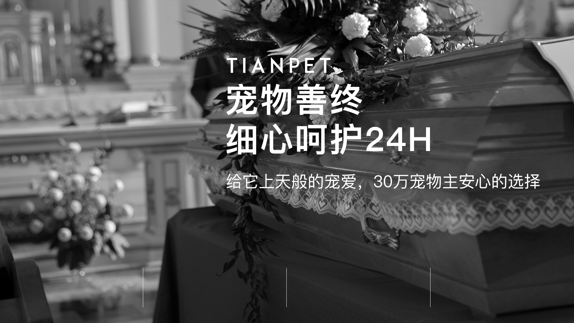 �Ͼ���������������TIANPET���499��ר�����ţ����ķ���