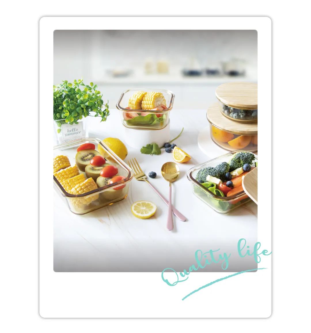 小团队大智慧 • 怡家集团食物存储团队专访