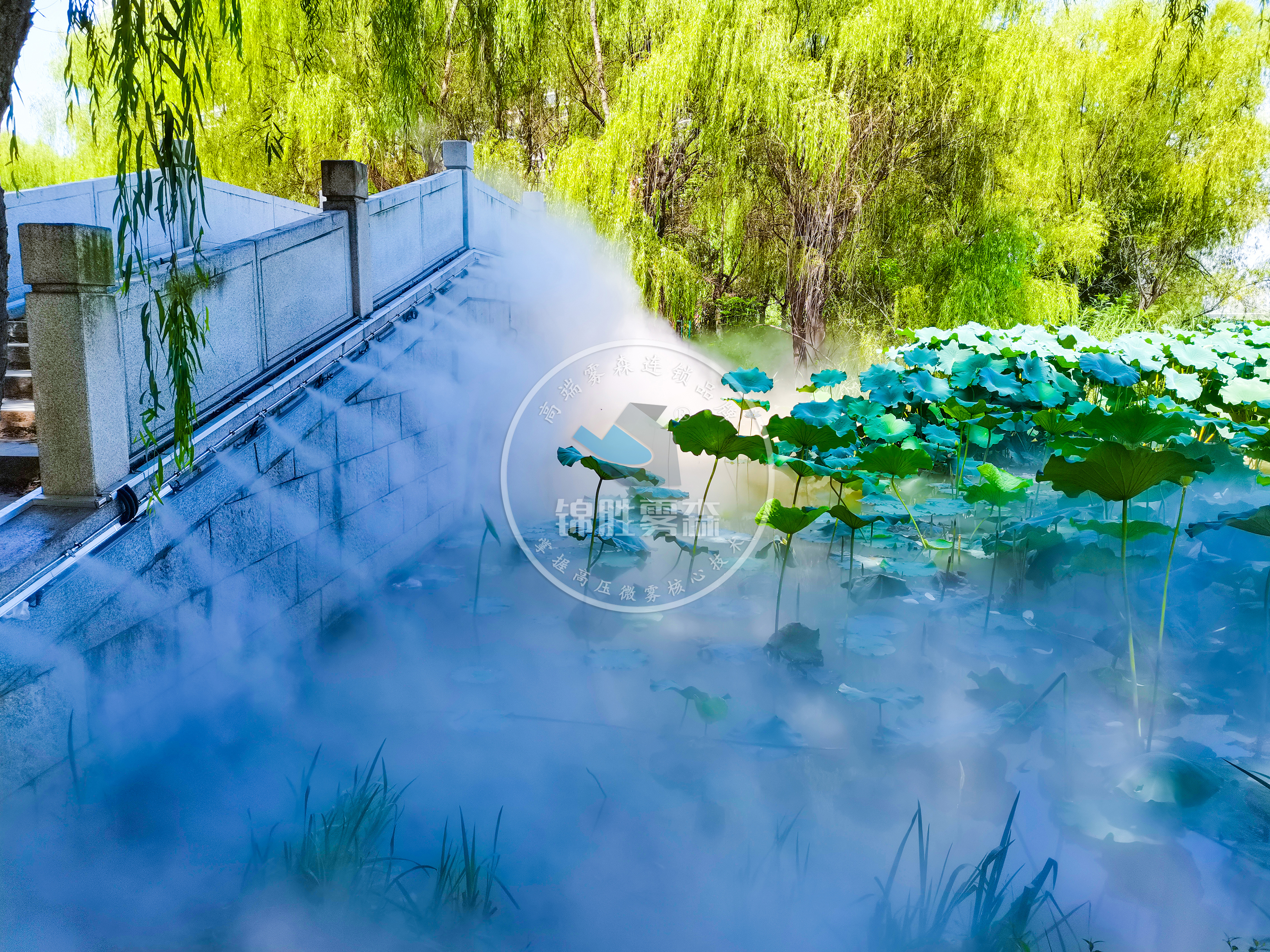 灞桥生态湿地公园人造雾景观 领略诗情画意的“网红”打卡地