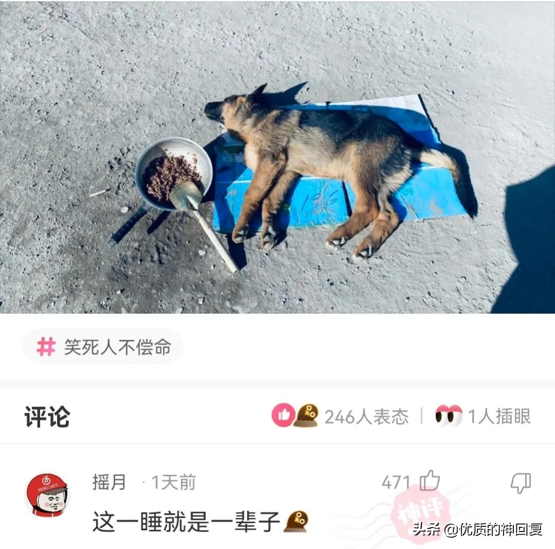 “妹子，你知道衣服上的字是什么意思吗？”哈哈哈自信的女孩最美