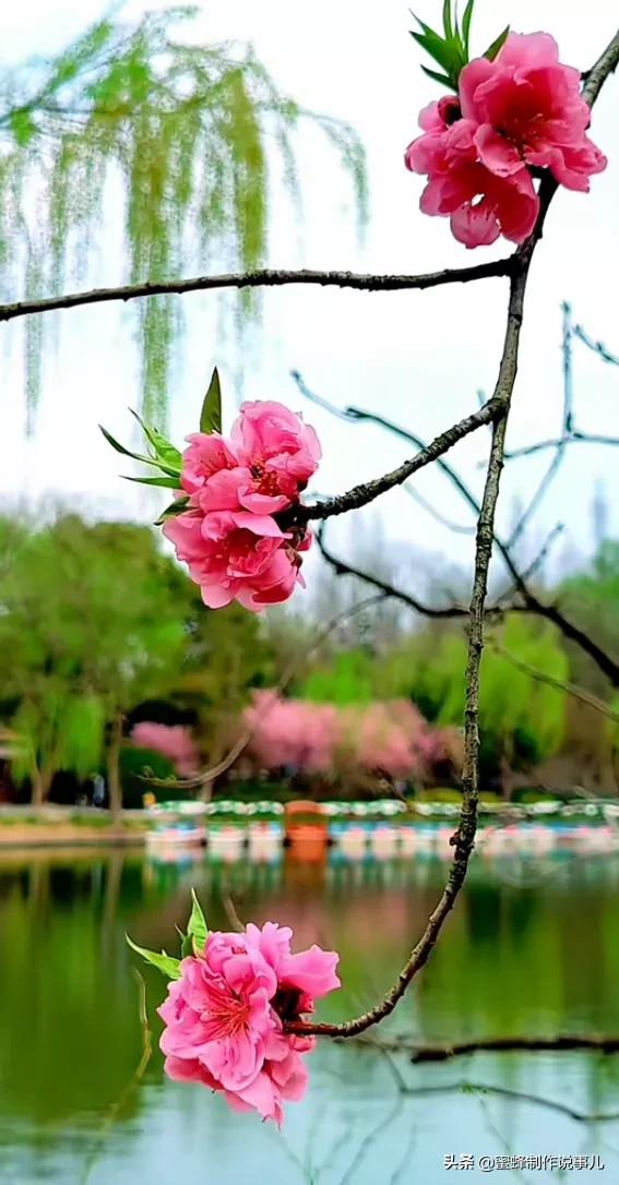 一路鲜花相伴，一路芬芳相随