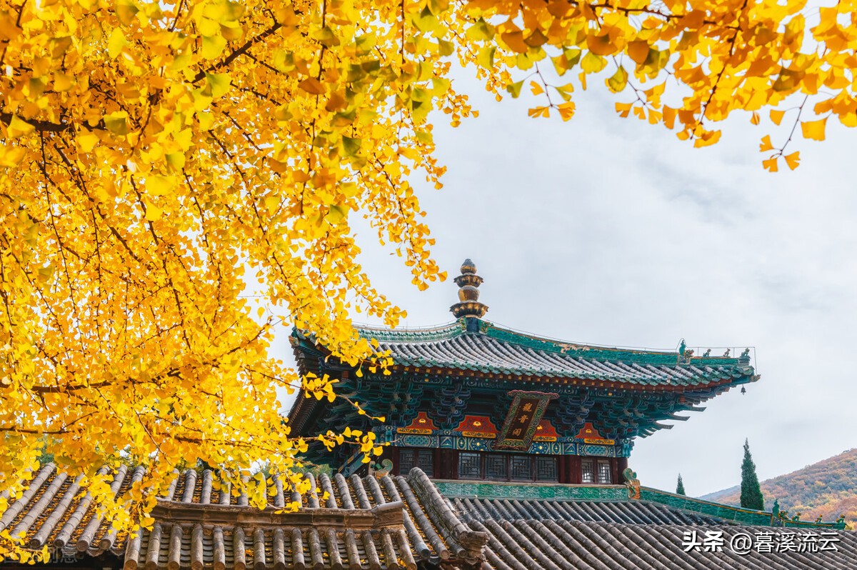 關于老師的古詩有哪些 古詩詞「關于老師的古詩有什么」