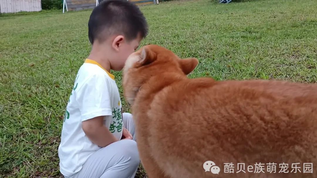 宠爱有家 夏日派对丨酷贝E族