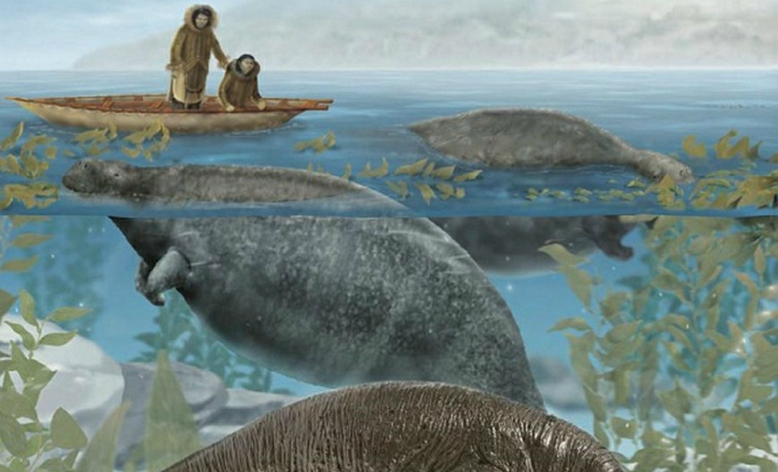 玉璧！就是五千年前大鱼档的“一元钱”？