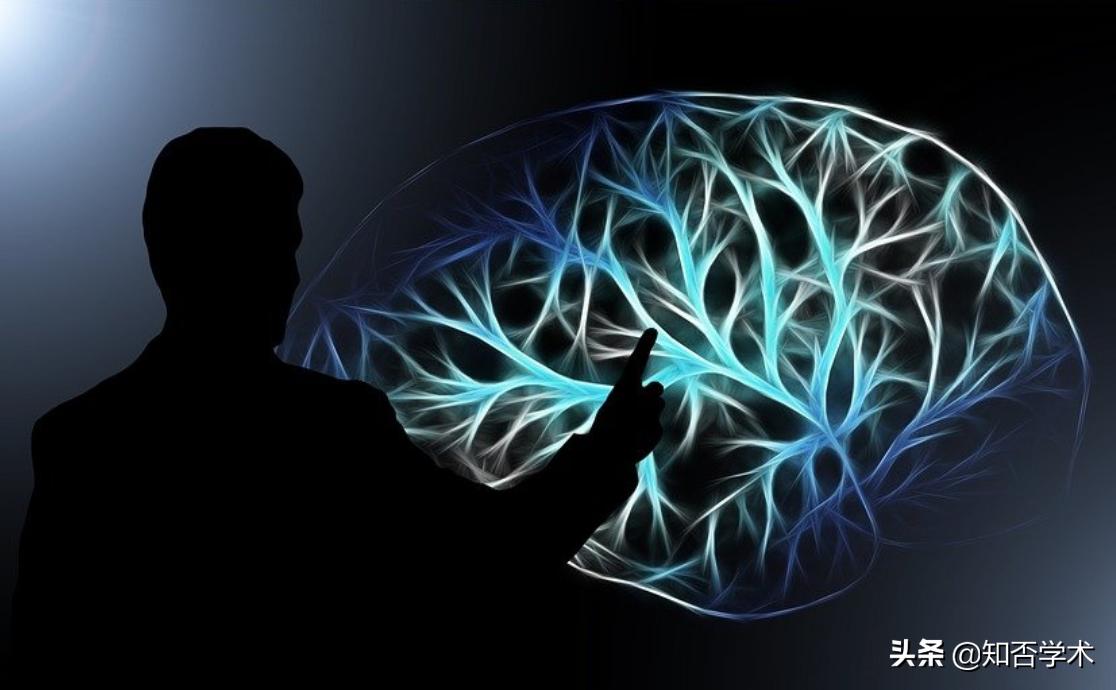最新研究：科学家成功找到一种新型脑细胞，揭开我们记忆形成之谜
