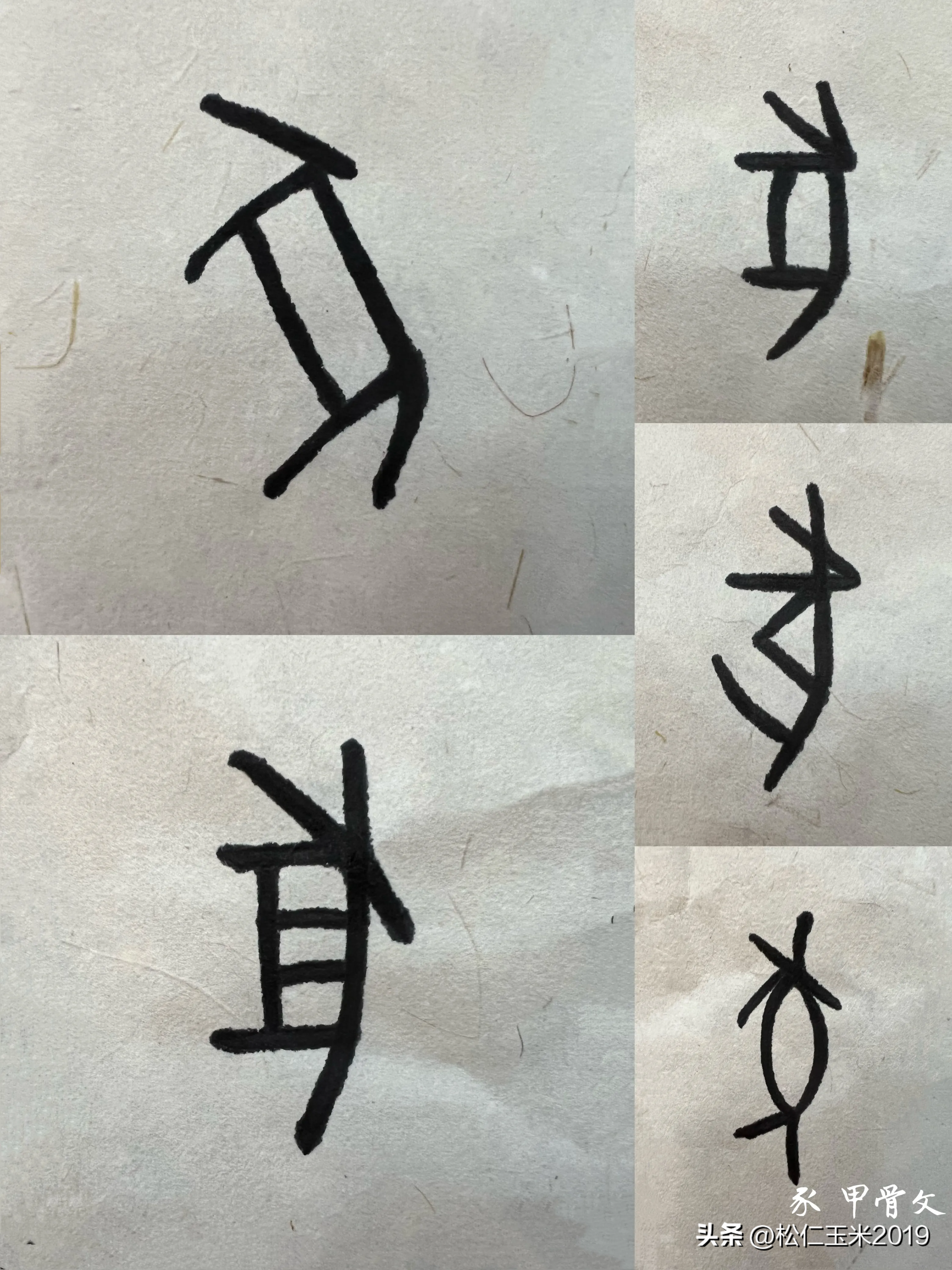 汉字瘪怎么读(有趣的汉字之“豕”114-懂了“牡”，也就懂了“牡豕”和“牡丹”)