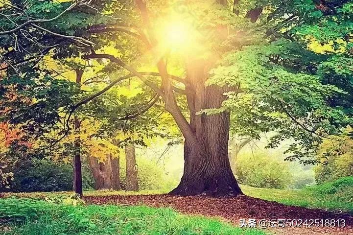 读书要奋发自强，明德行、做新人、办好事；读书必须明理真心