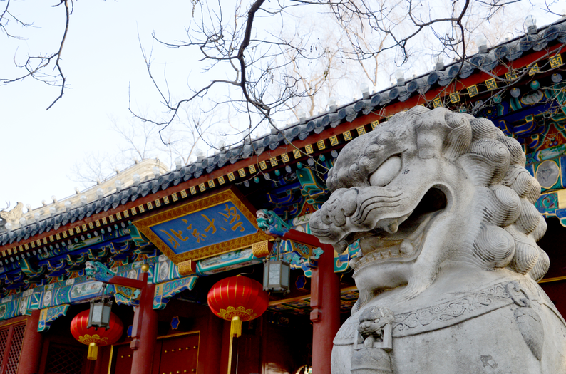 北大院长发表观点，大学专业无冷热之分，遭网友齐声讨伐